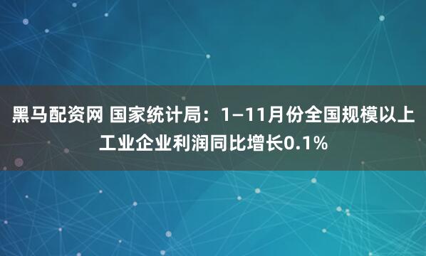 黑马配资网 国家统计局：1—11月份全国规模以上工业企业利润同比增长0.1%