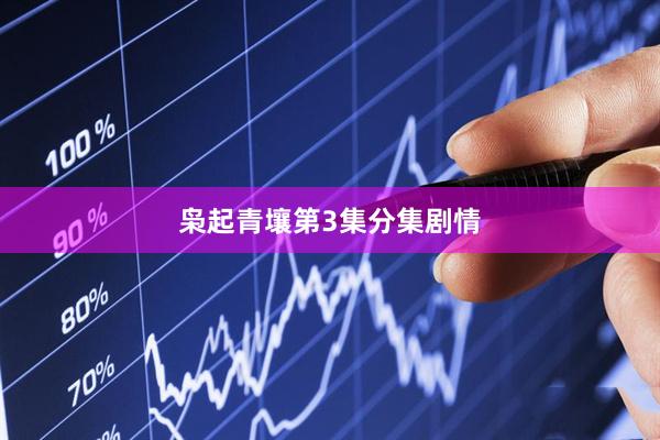 枭起青壤第3集分集剧情